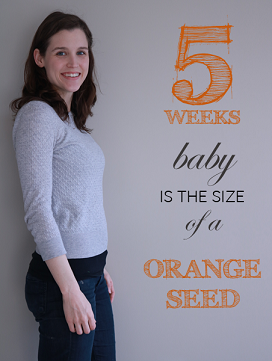 5 weeks pregnant featured