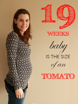 19 Weeks Pregnant Featured