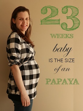 23 weeks pregnant baby bump